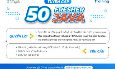 TUYỂN DỤNG: 50 Fresher Java