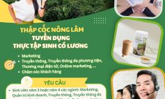 [TUYỂN DỤNG] Thập cốc Nông Lâm Tuyển dụng Thực tập sinh Marketing, Chăm sóc khách hàng CÓ LƯƠNG