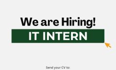 [Internship] Thực tập sinh IT Ứng dụng AI – Cơ hội làm thật, học thật tại Bông Trà